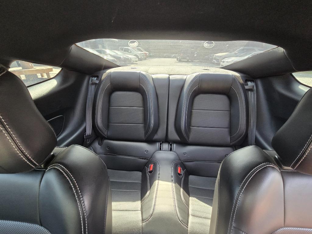 2021 Ford Mustang GT Premium - Photo 13
